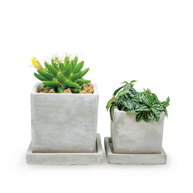 SOLID PLANTER CUBE S