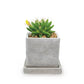 SOLID PLANTER CUBE L