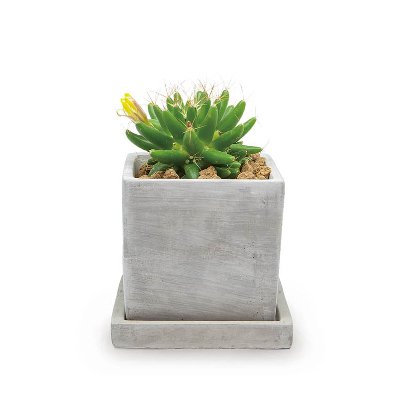 SOLID PLANTER CUBE L